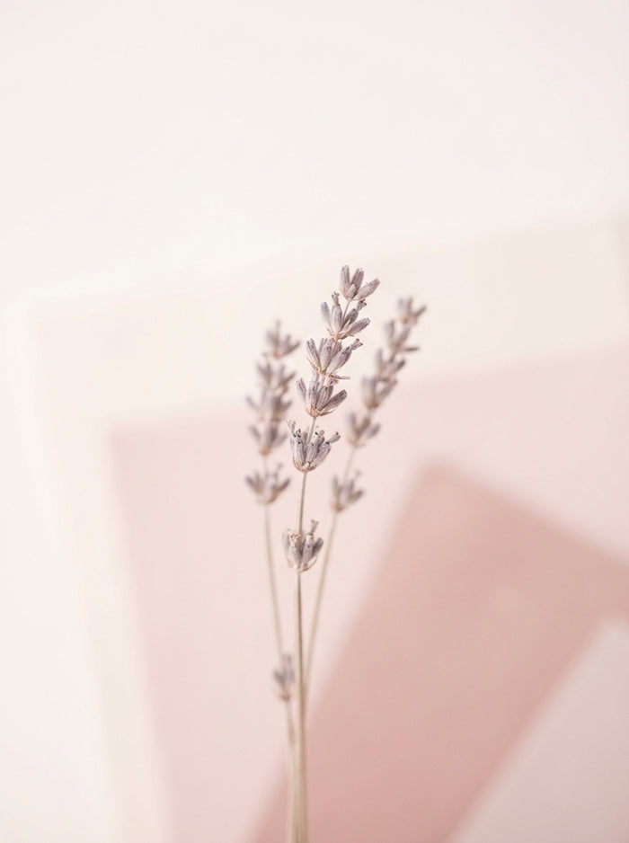 Poster print file