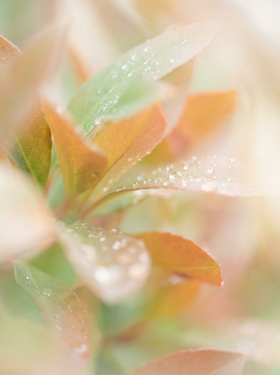 Poster print file