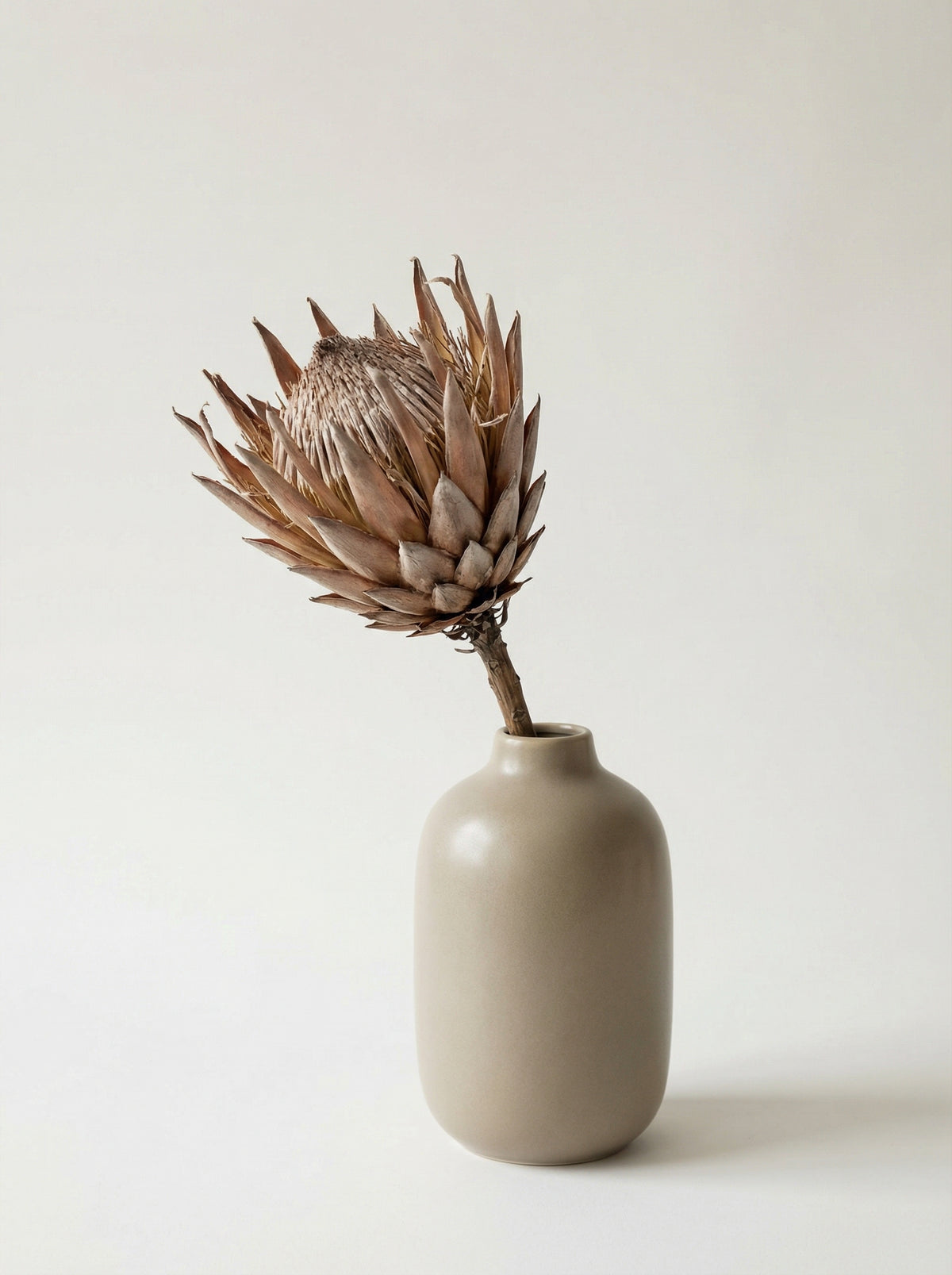 Poster in black frame