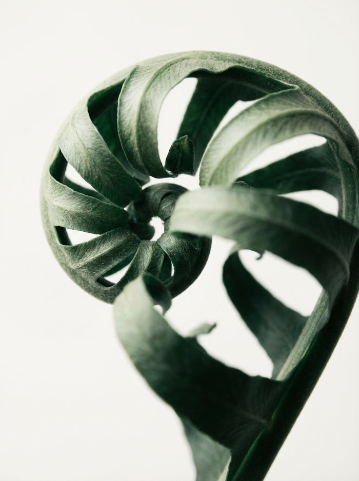 Poster print file