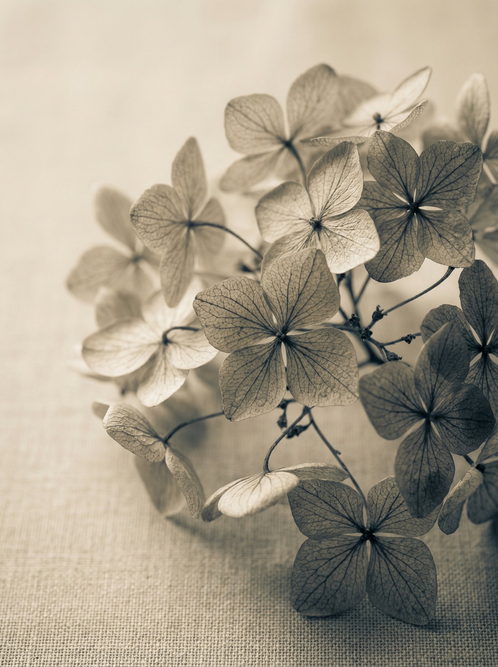 Poster in black frame