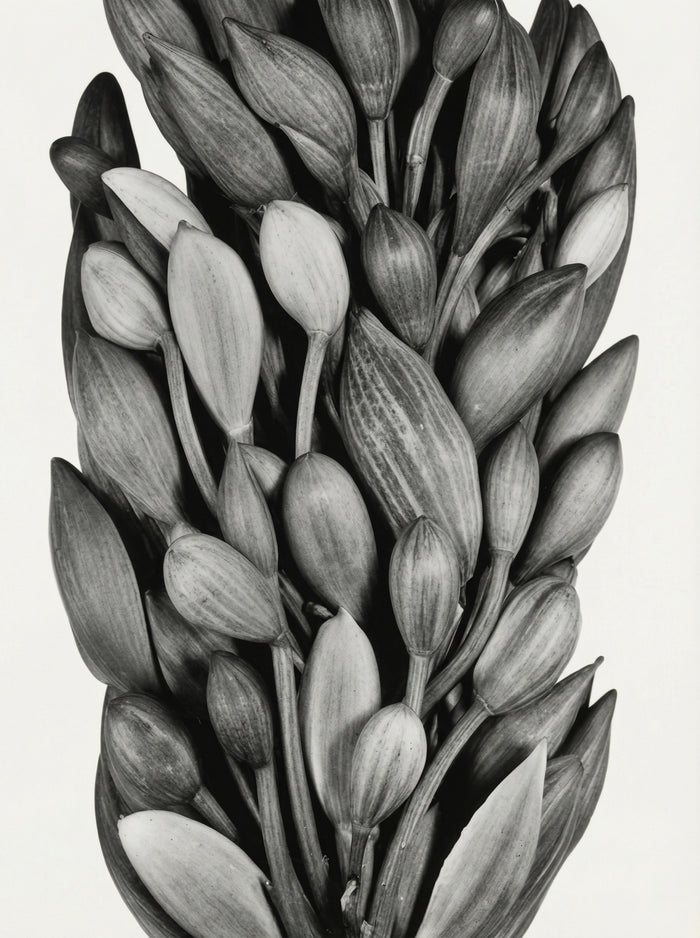 Poster print