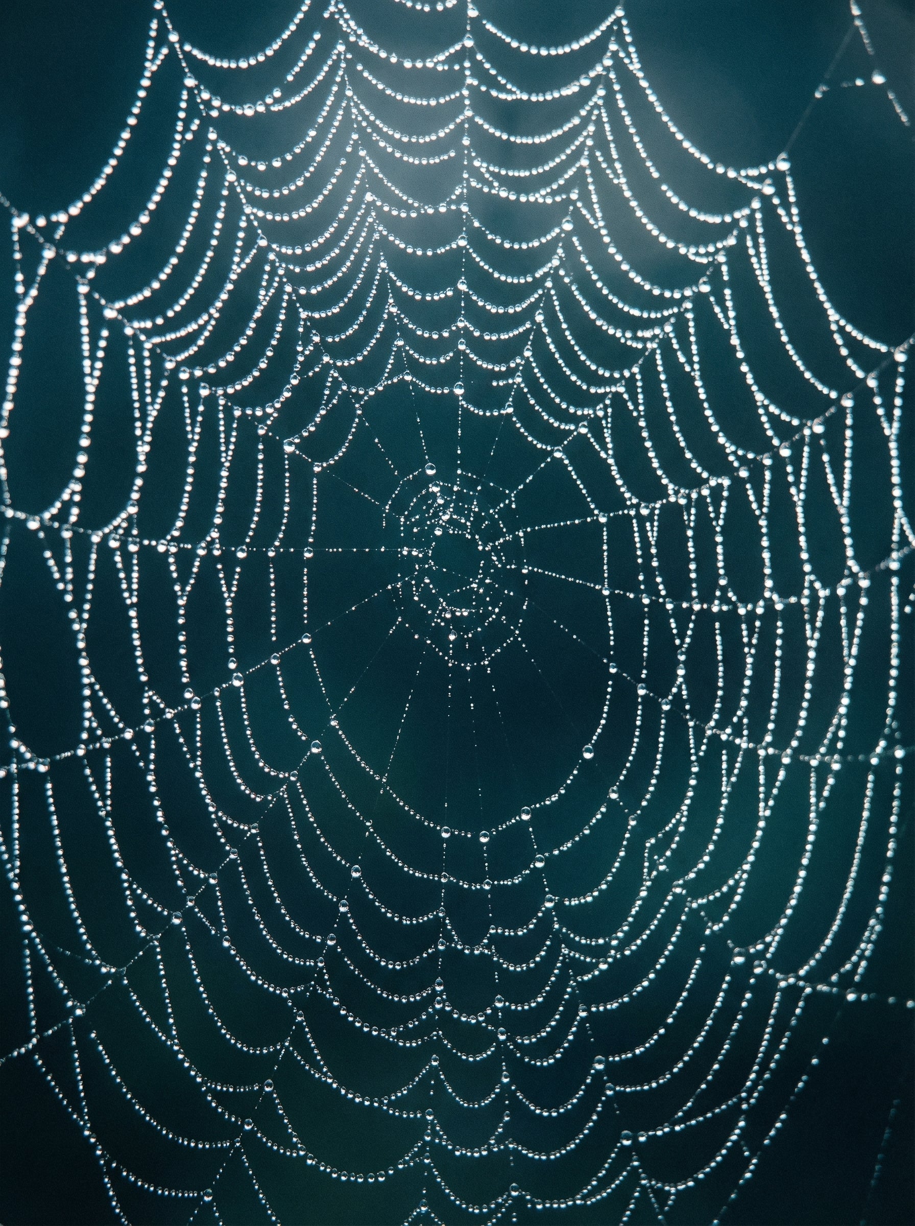 Poster print file