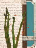 Cactus I Poster – plakat og kunsttryk