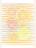 Citrus Poster – poster and art print