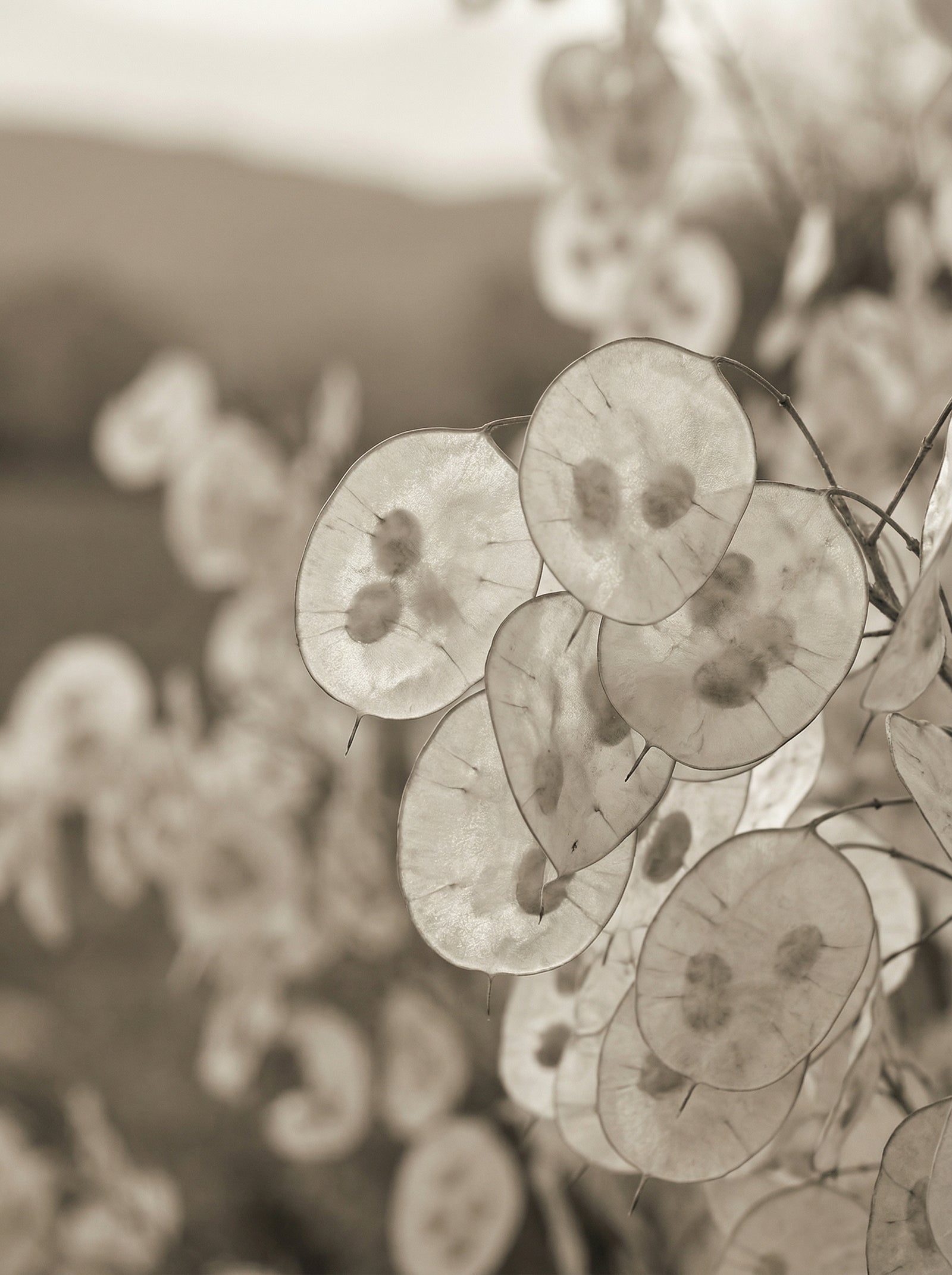 Poster in black frame