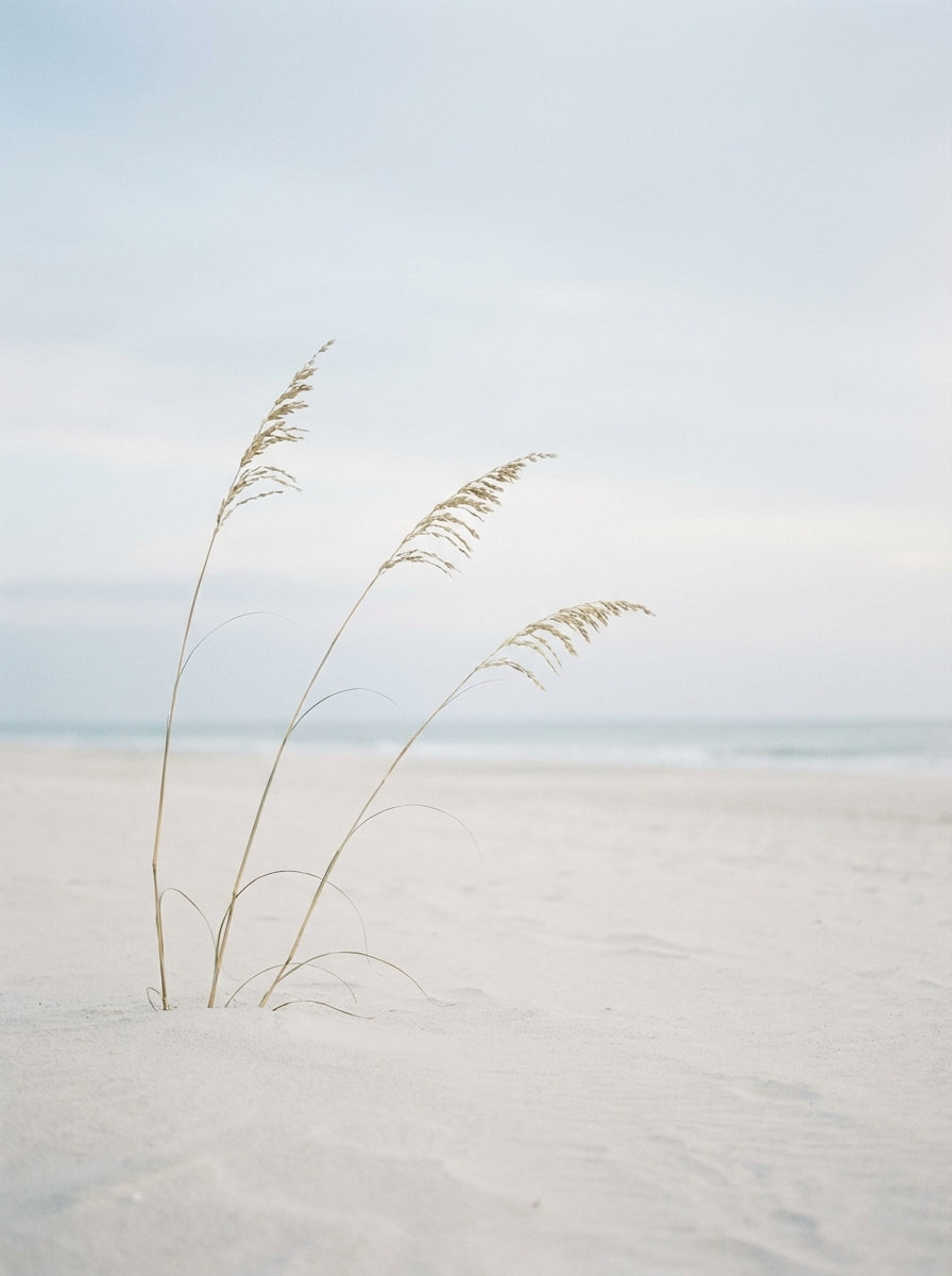 Poster print file