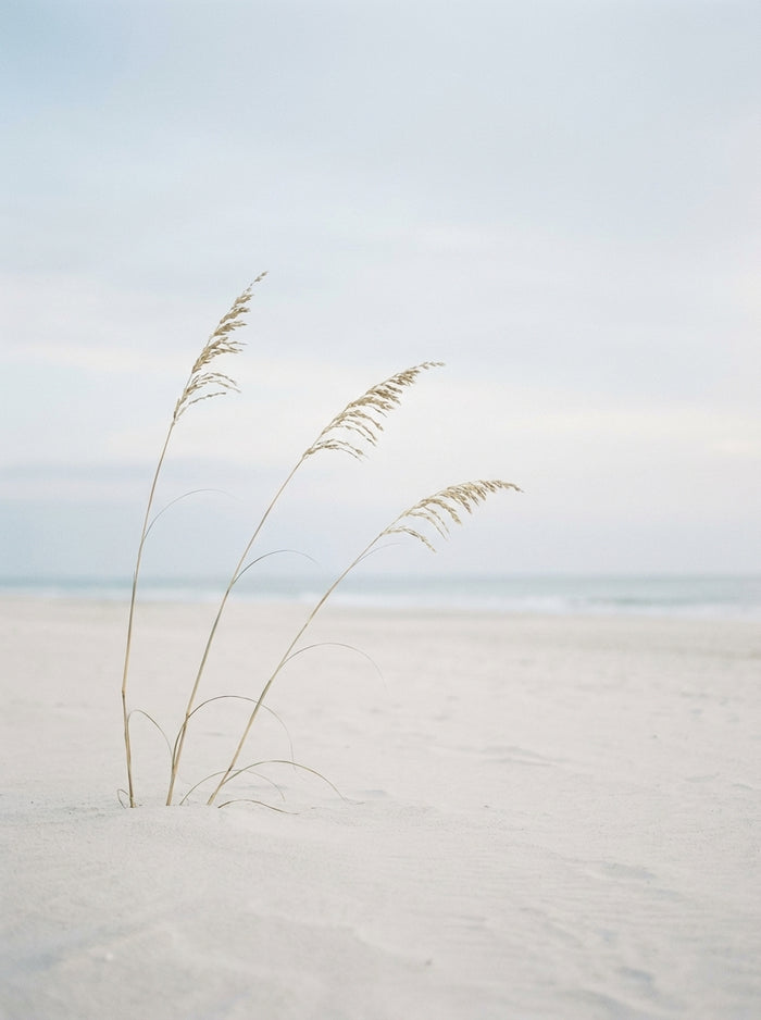 Poster print file