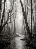 Poster print file