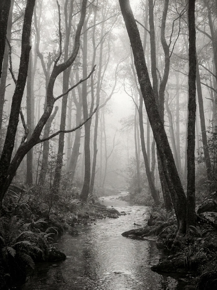 Poster print file