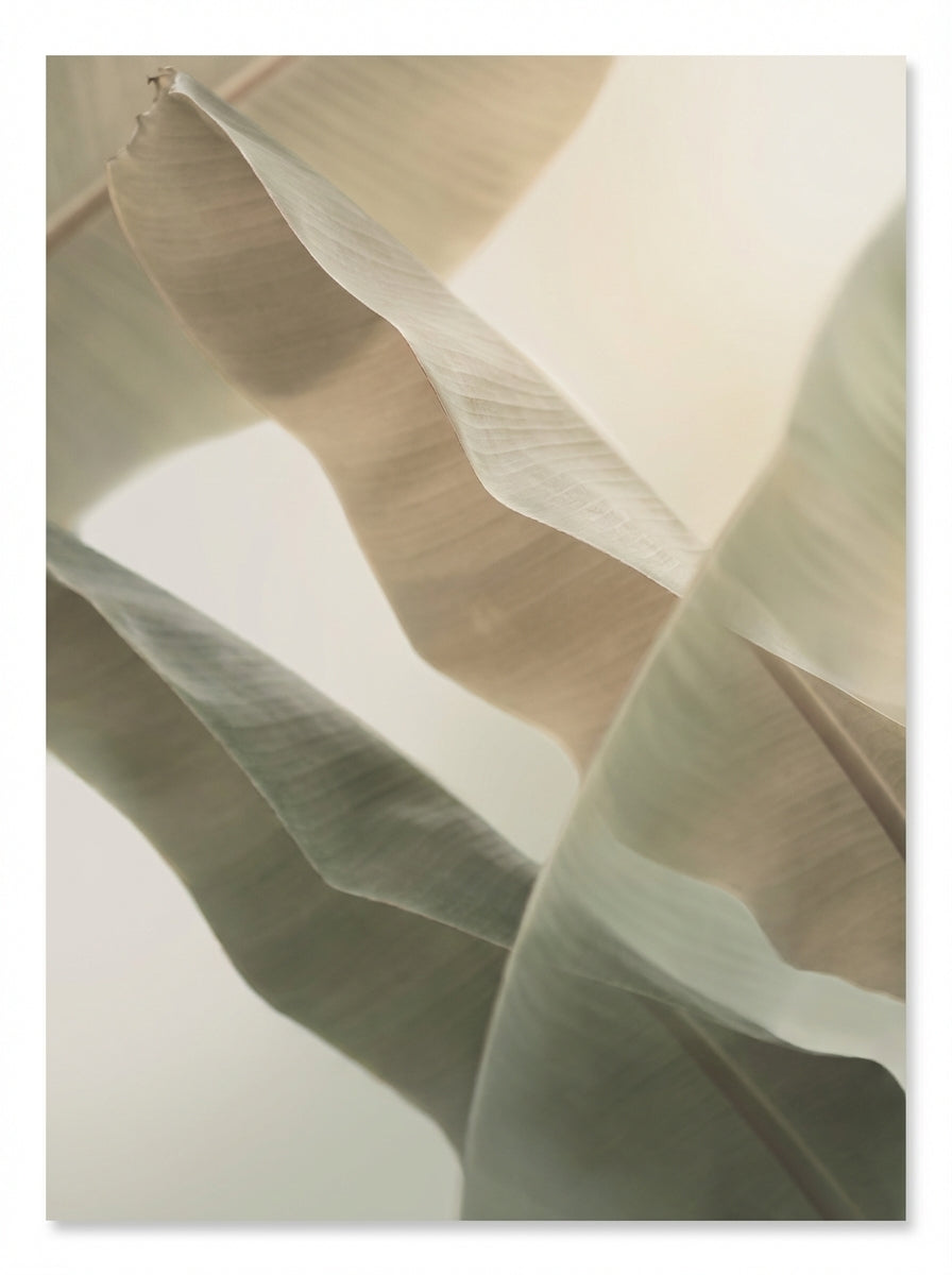 Poster print file
