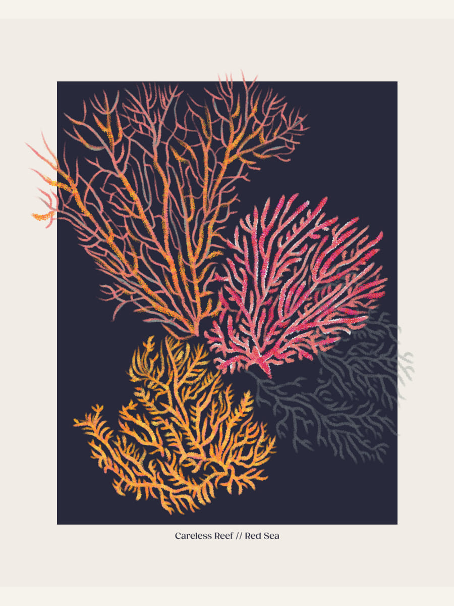 Affiche Coral Garden Careless Reef – affiche et impression d’art
