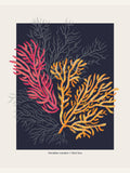Affiche Coral Garden Paradise Garden – affiche et impression d’art