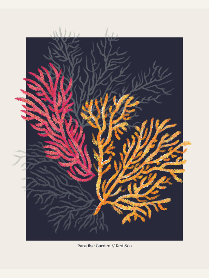 Affiche Coral Garden Paradise Garden – affiche et impression d’art