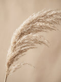 Poster print file