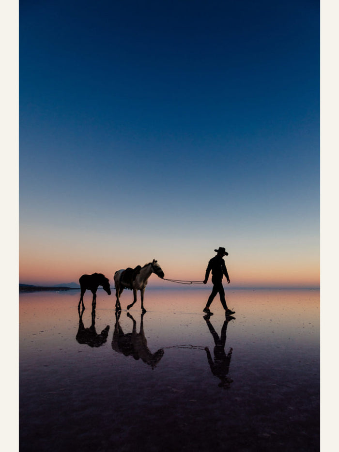 Poster Cowboy III – poster e stampa artistica