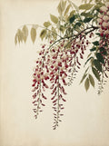 Poster print file