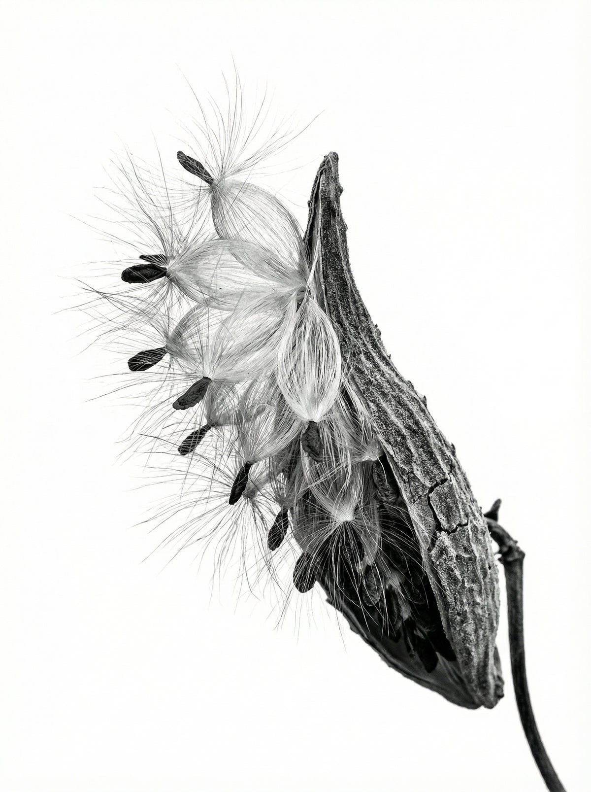 Poster in black frame