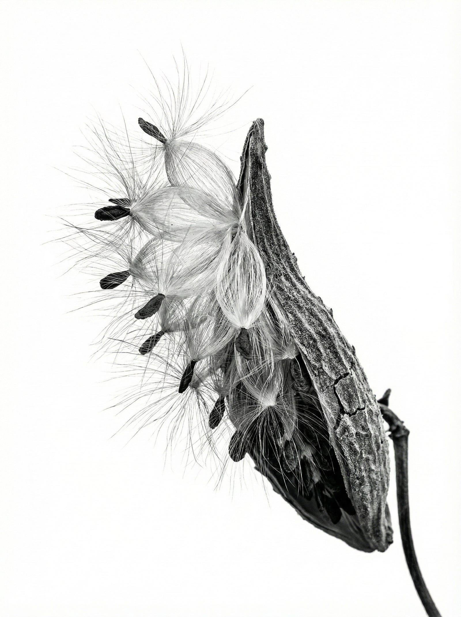 Poster in black frame