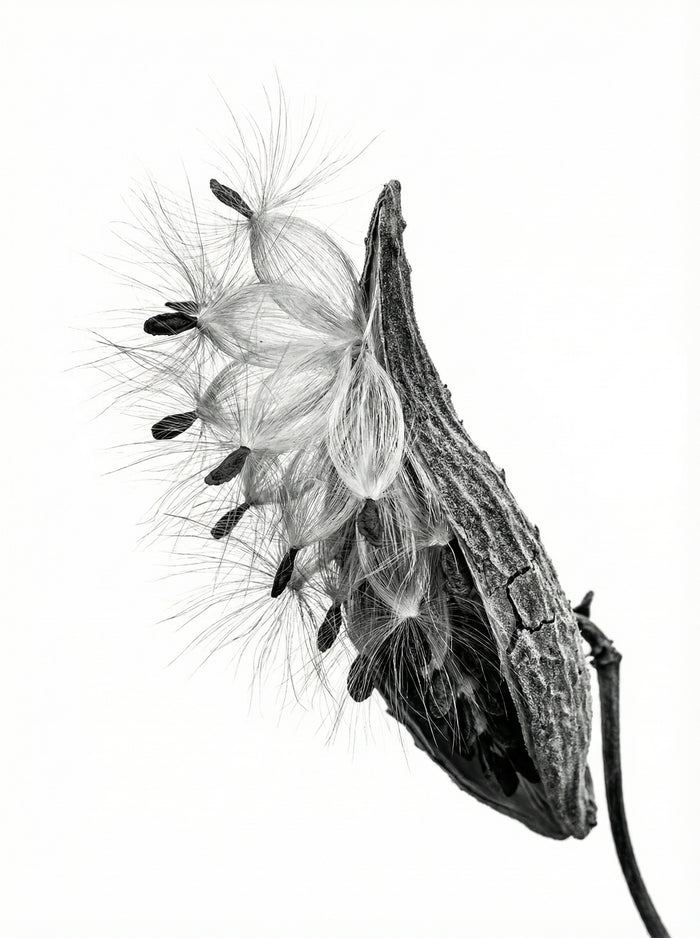 Poster in black frame
