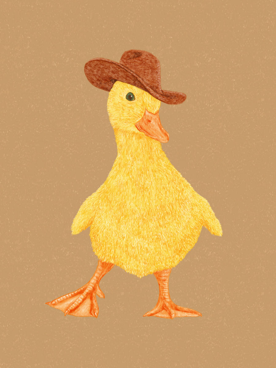 Póster Daphne the Cowgirl Duckling – póster e impresión artística