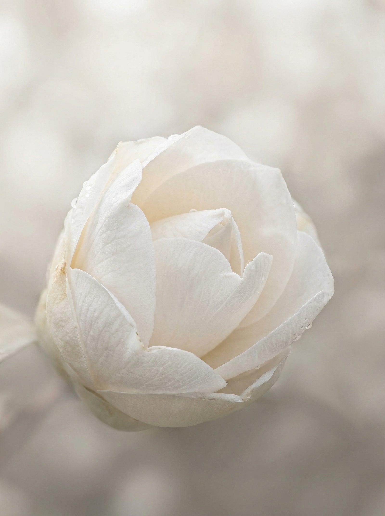 Poster in black frame