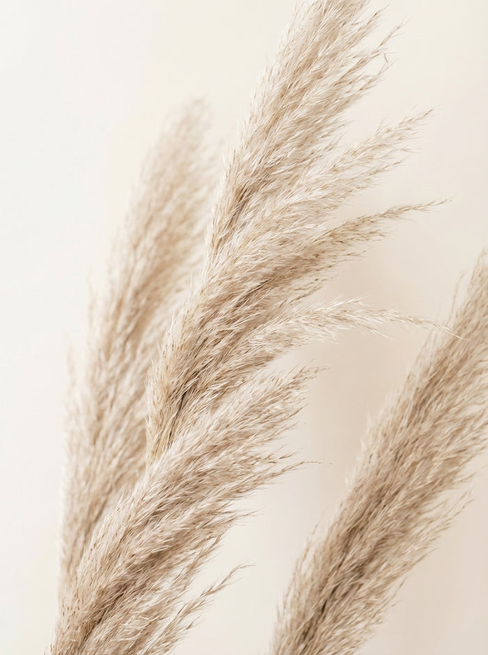 Poster print file