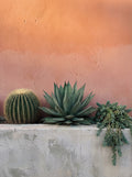Poster print file