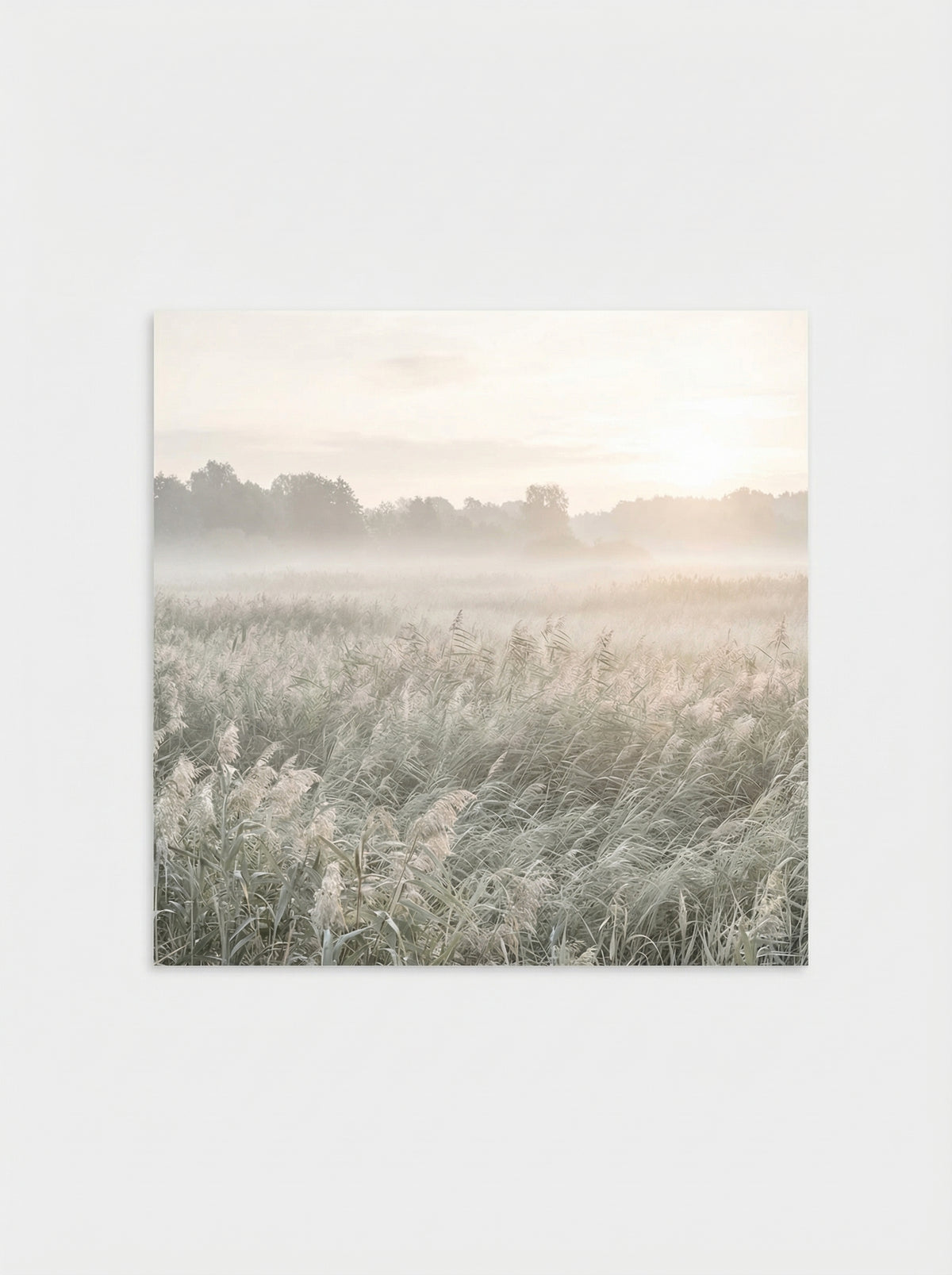 Poster in black frame