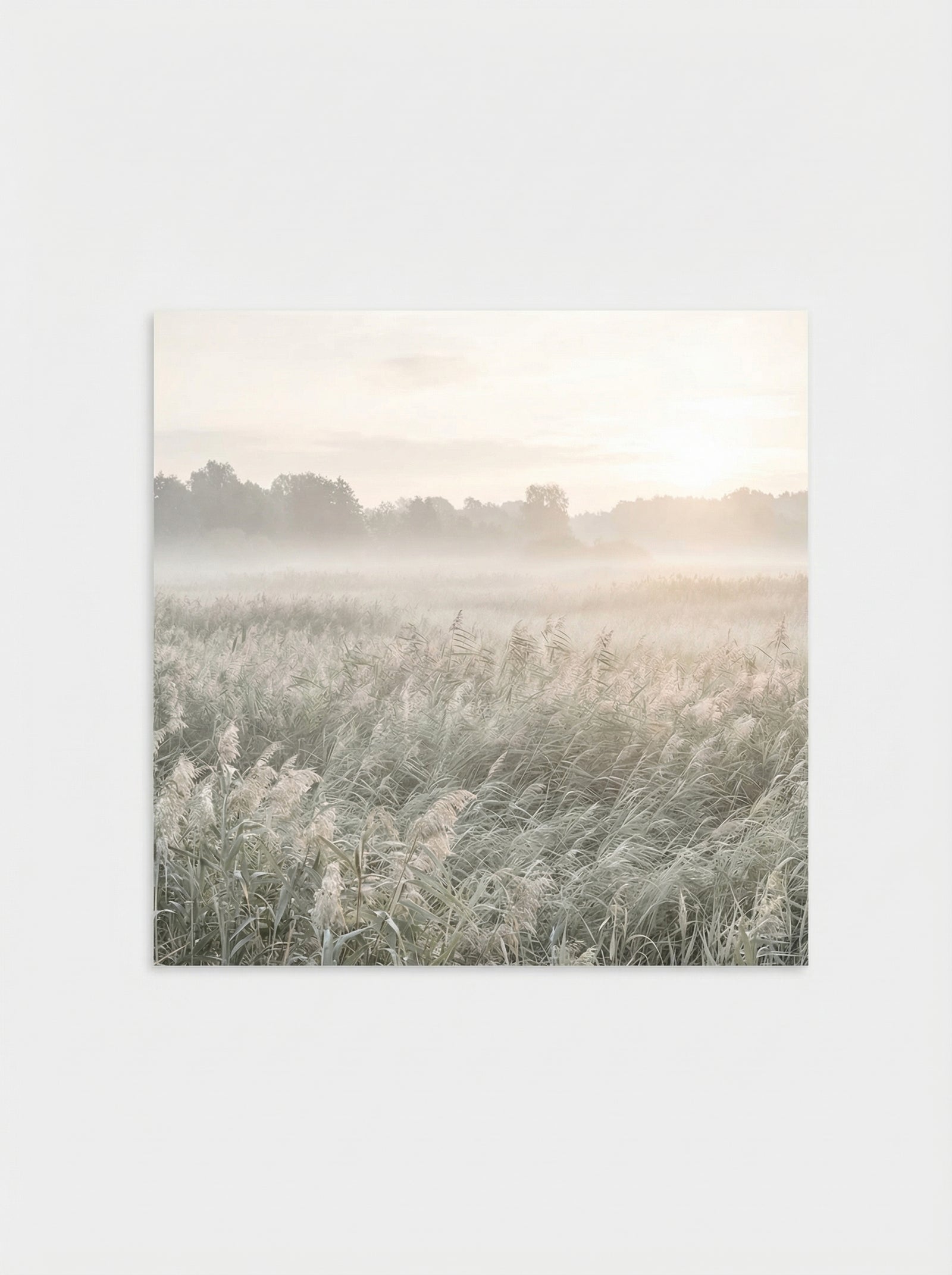 Poster in black frame