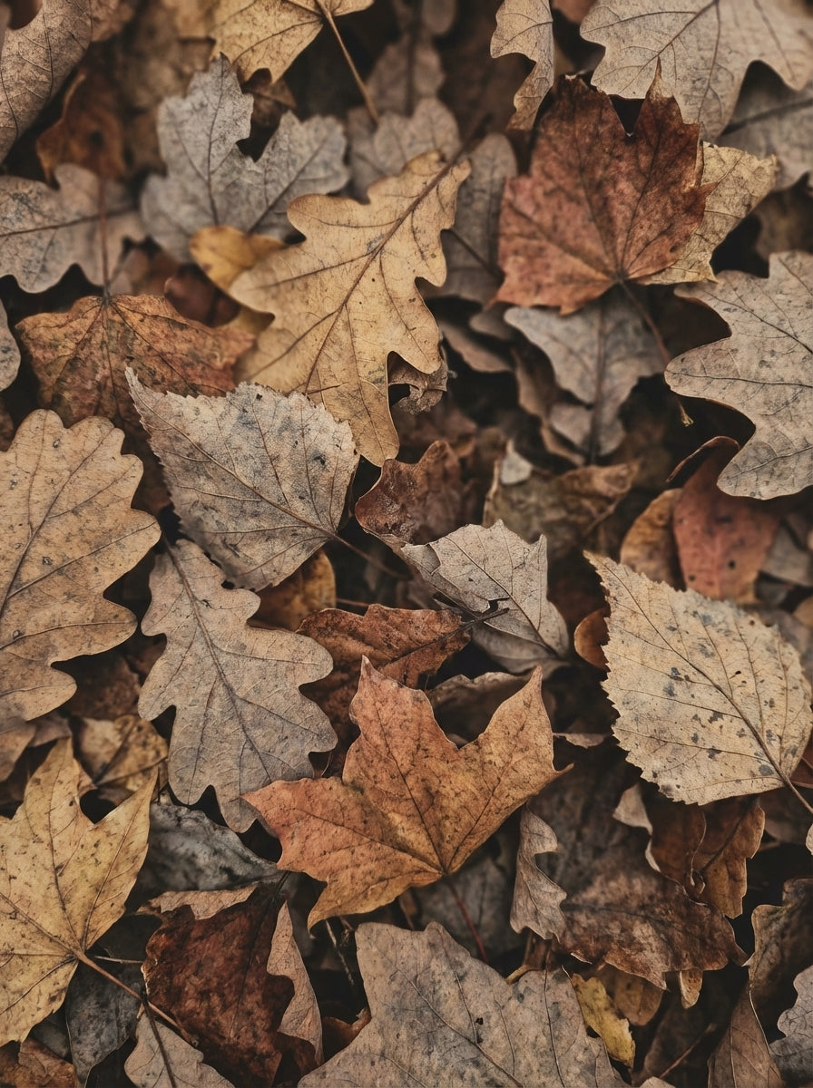 Poster print file
