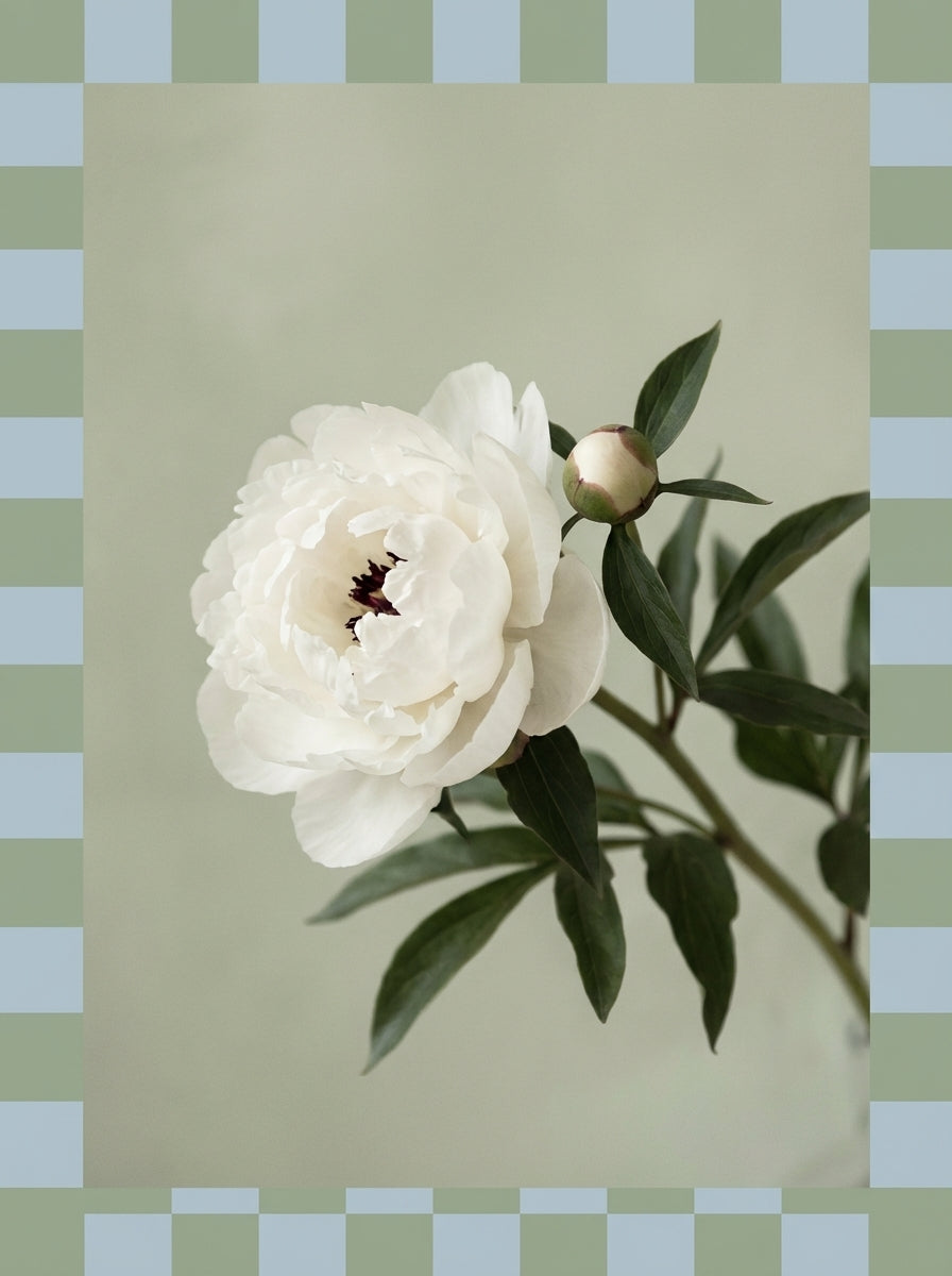 Poster print file