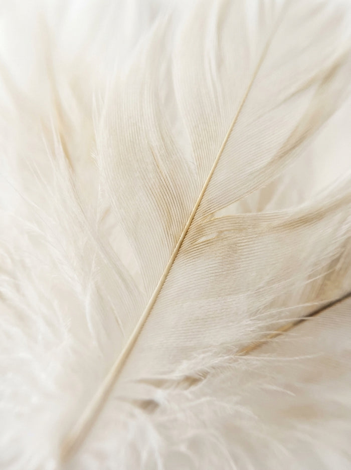 Poster print file