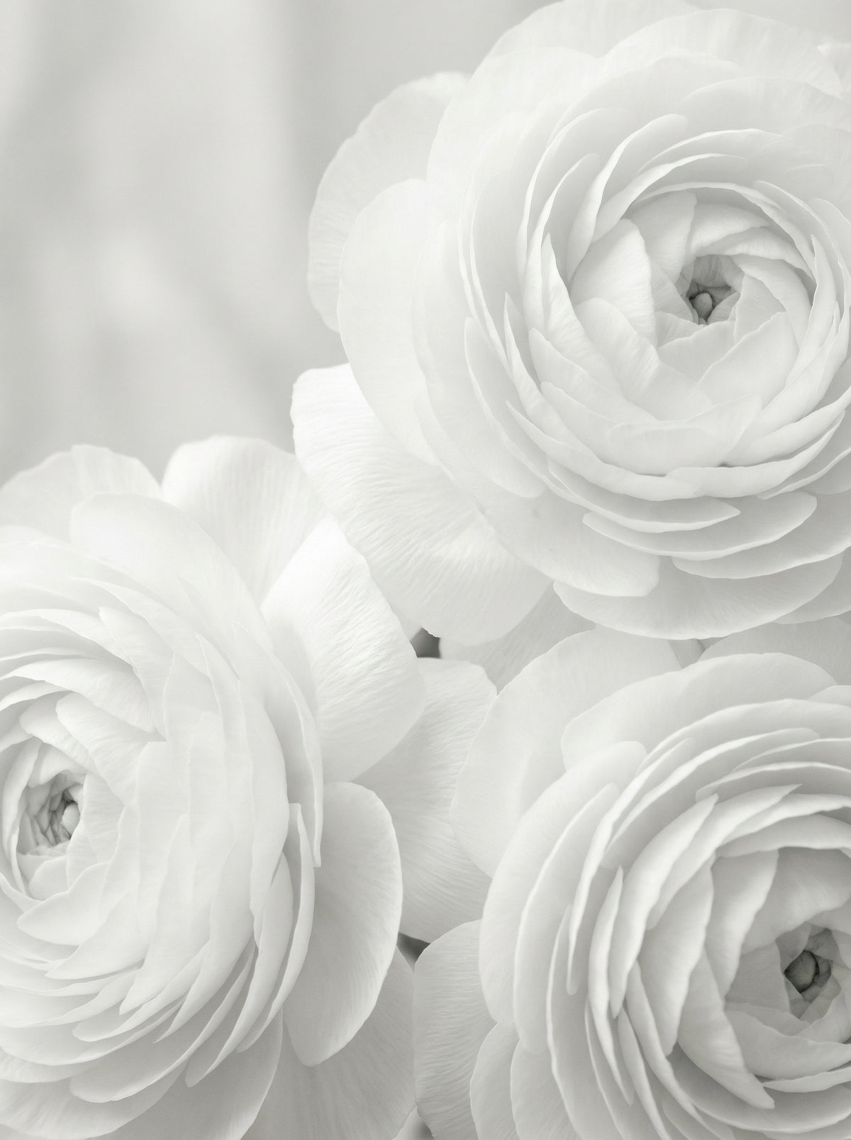 Poster in black frame