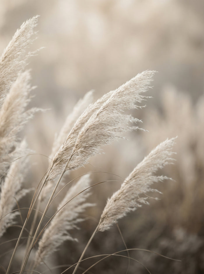 Poster in black frame
