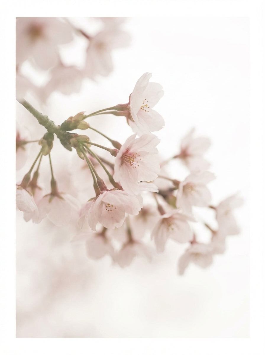 Poster print file