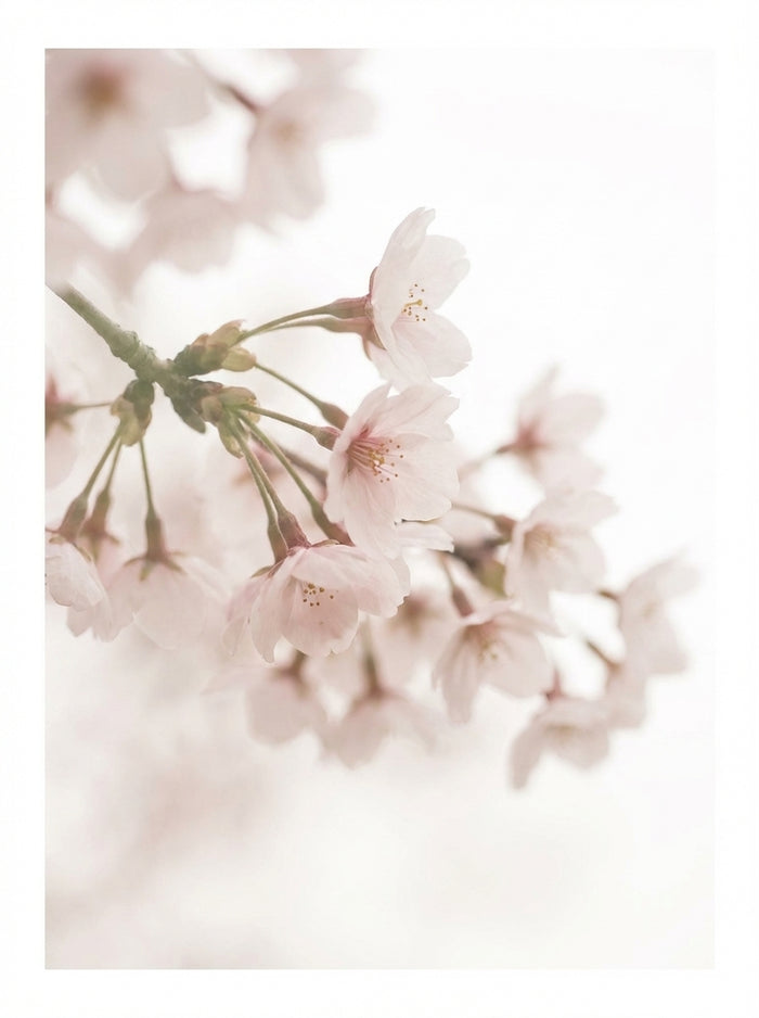 Poster print file