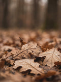 Poster print file