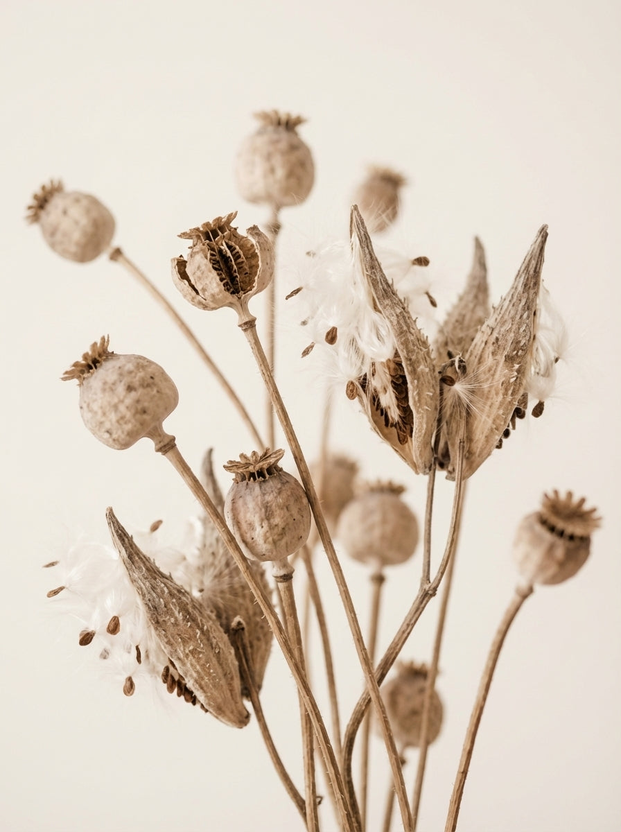 Poster print file