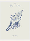 Filles de la mer n.2 - La conchiglia Poster – plakat og kunsttryk