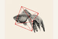Poster Fish In Geometrics Nº3 – poster e stampa artistica