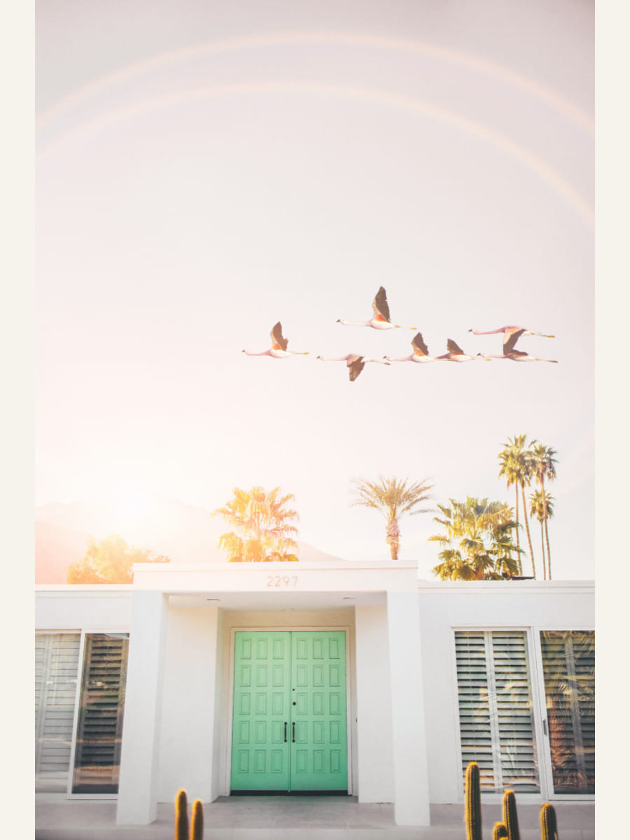 Flamingos In Palm Springs Poster – poster och konsttryck