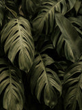 Poster print file