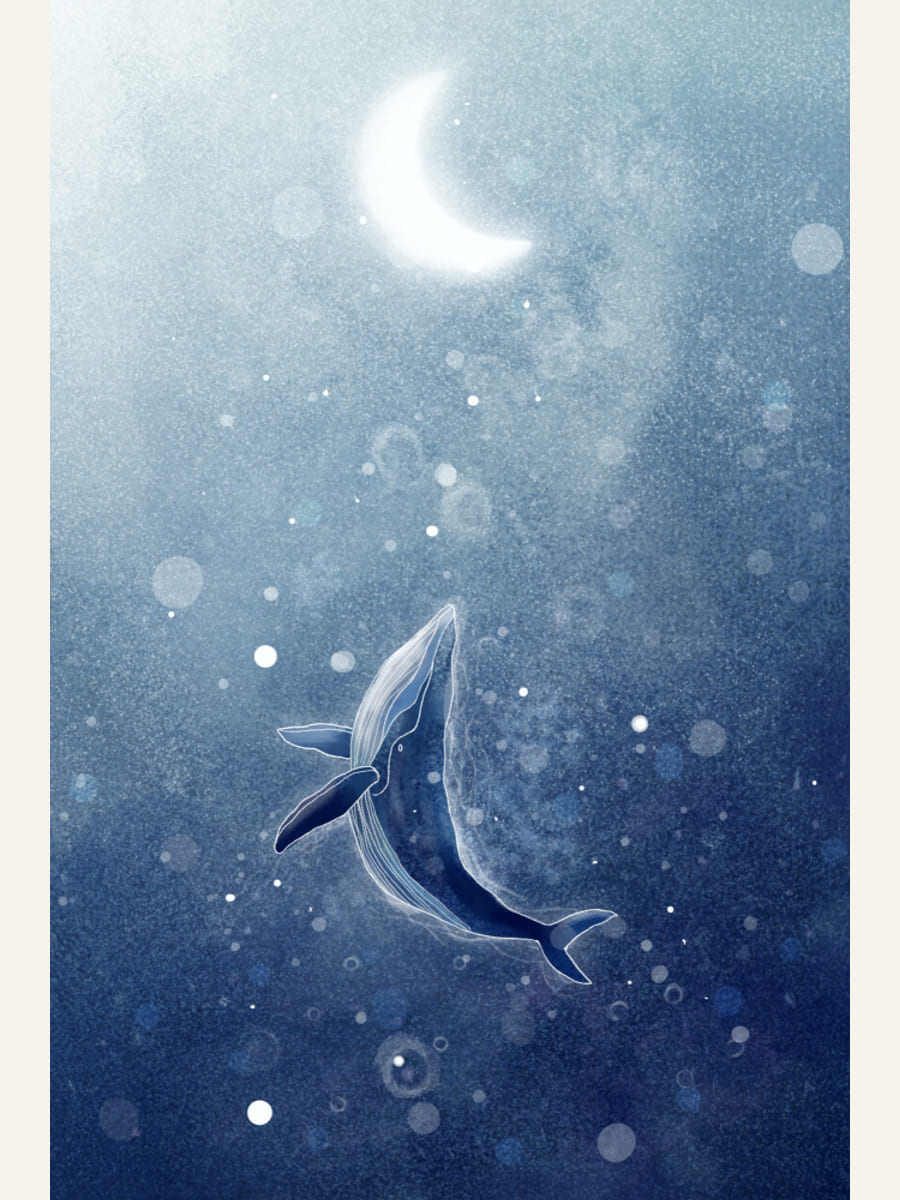 Plakat Galaxy Whale – plakat i druk artystyczny