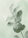 Poster print file