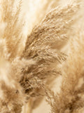 Poster print file