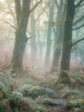 Poster print file