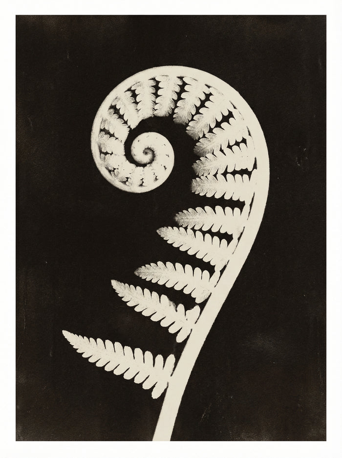 Poster print