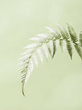 Poster print file