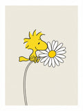 Poster print file